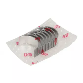 Kit de coussinets de bielle NE 6137720000