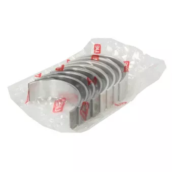 Kit de coussinets de bielle NE 6138590000