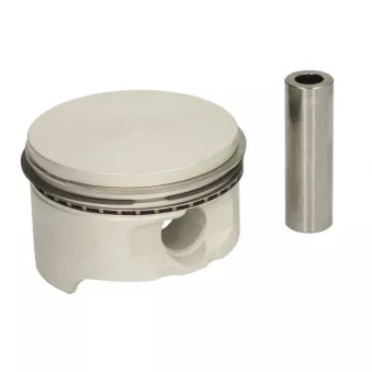 Piston NE 7138460000