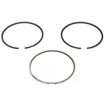 Jeu de segments de pistons NE 8935150000