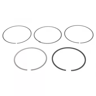 Jeu de segments de pistons NE 8907480000