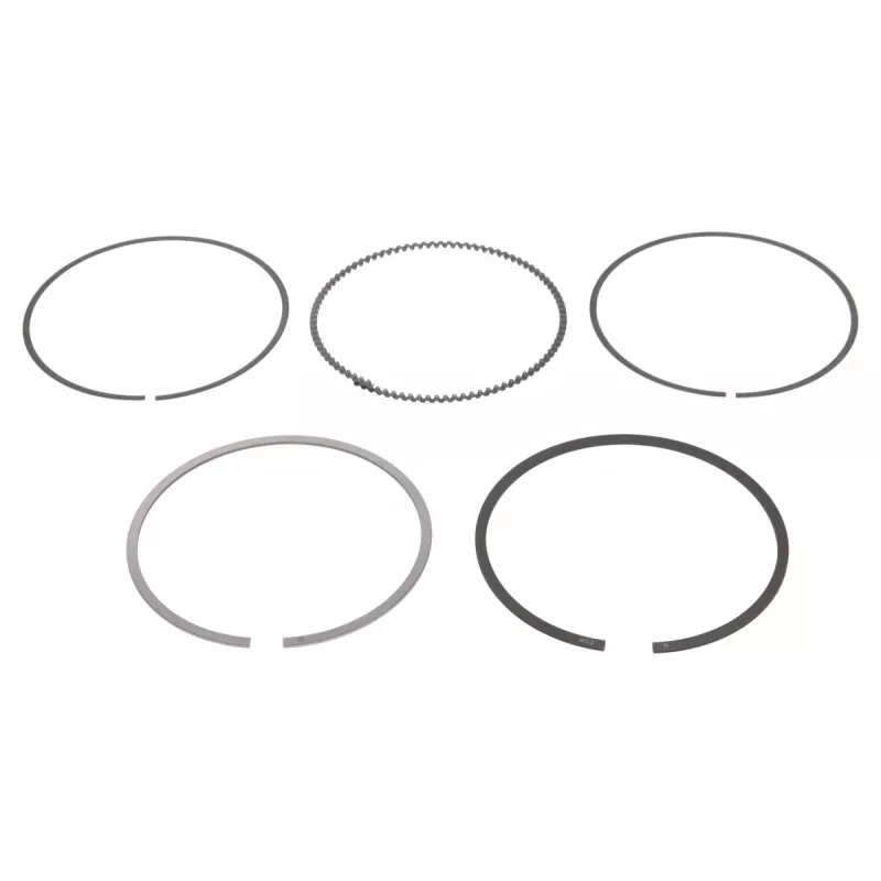 Jeu de segments de pistons NE 8907480000
