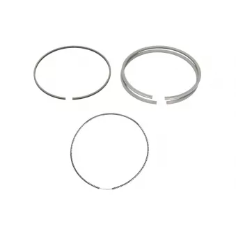 Jeu de segments de pistons NE 8920640000