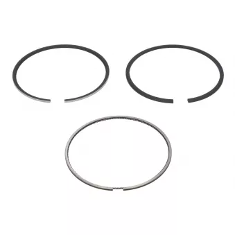 Jeu de segments de pistons NE 8921660000