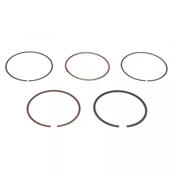 Jeu de segments de pistons NE 8921750000