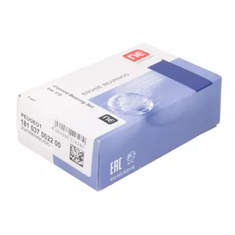Kit de coussinets de bielle NE 6137730000