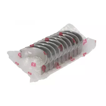 Kit de coussinet de vilebrequin NE 6035090000