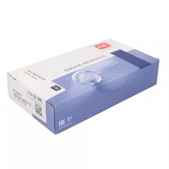 Kit de coussinet de vilebrequin NE 6037133000