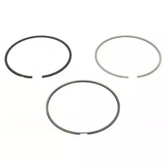 Jeu de segments de pistons NE 8907960000