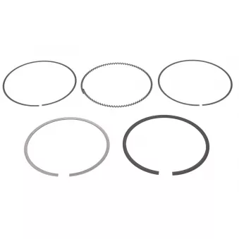 Jeu de segments de pistons NE 8950525000