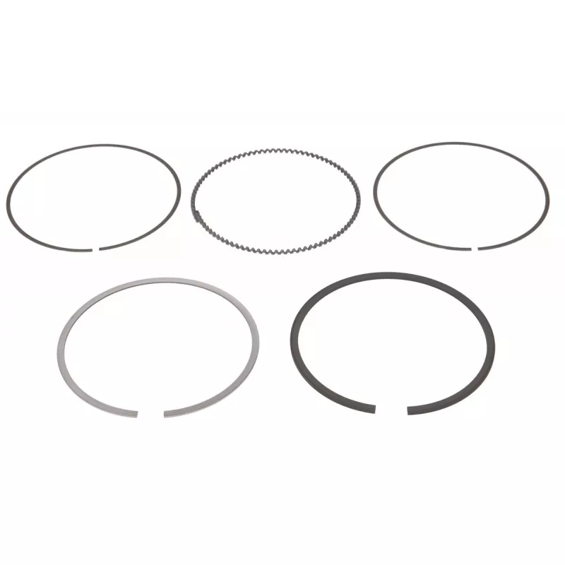Jeu de segments de pistons NE 8950525000
