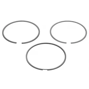 Jeu de segments de pistons NE 8950570000