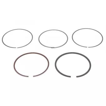 Jeu de segments de pistons NE 8950740000