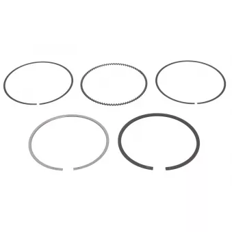 Jeu de segments de pistons NE 8950750000