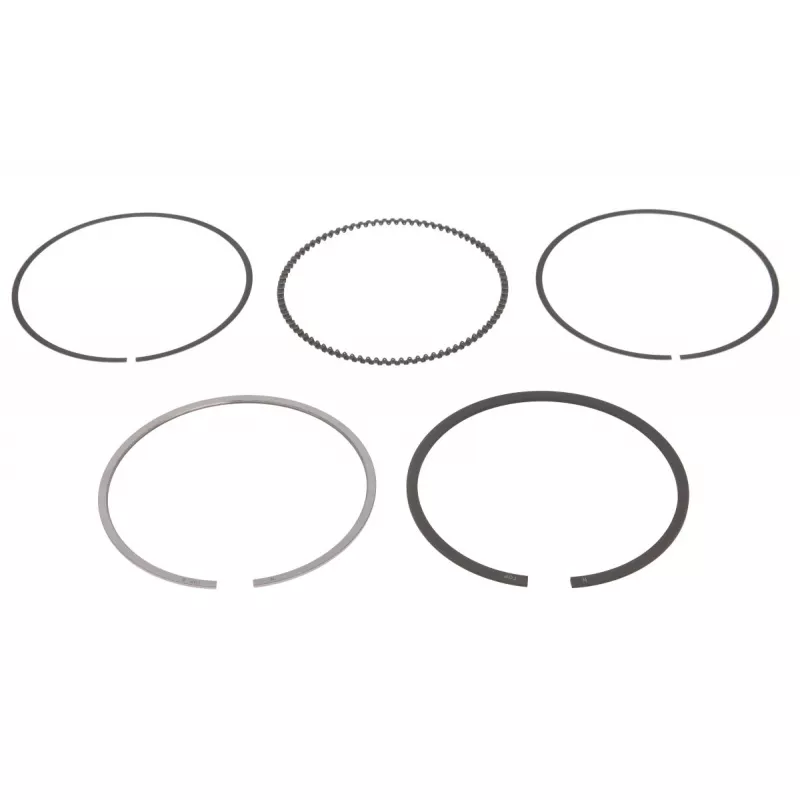 Jeu de segments de pistons NE 8950750000