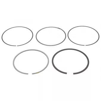 Jeu de segments de pistons NE 8950910000