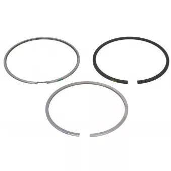 Jeu de segments de pistons NE 8950980000