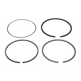 Jeu de segments de pistons NE 8935640000