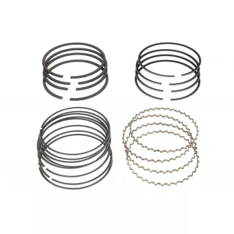 Jeu de segments de pistons NE 7976350000