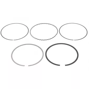 Jeu de segments de pistons NE 8921720000