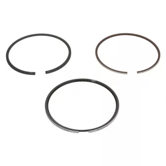 Jeu de segments de pistons NE 8950480000