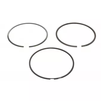 Jeu de segments de pistons NE 8952160000