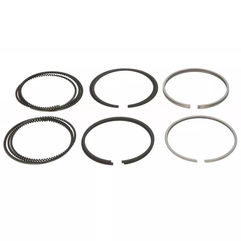 Jeu de segments de pistons NE 7953660000