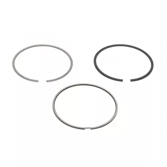 Jeu de segments de pistons NE 8921790000