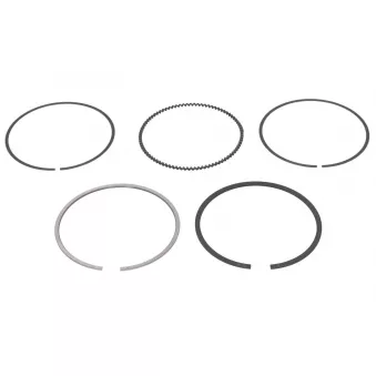Jeu de segments de pistons NE 8935560000