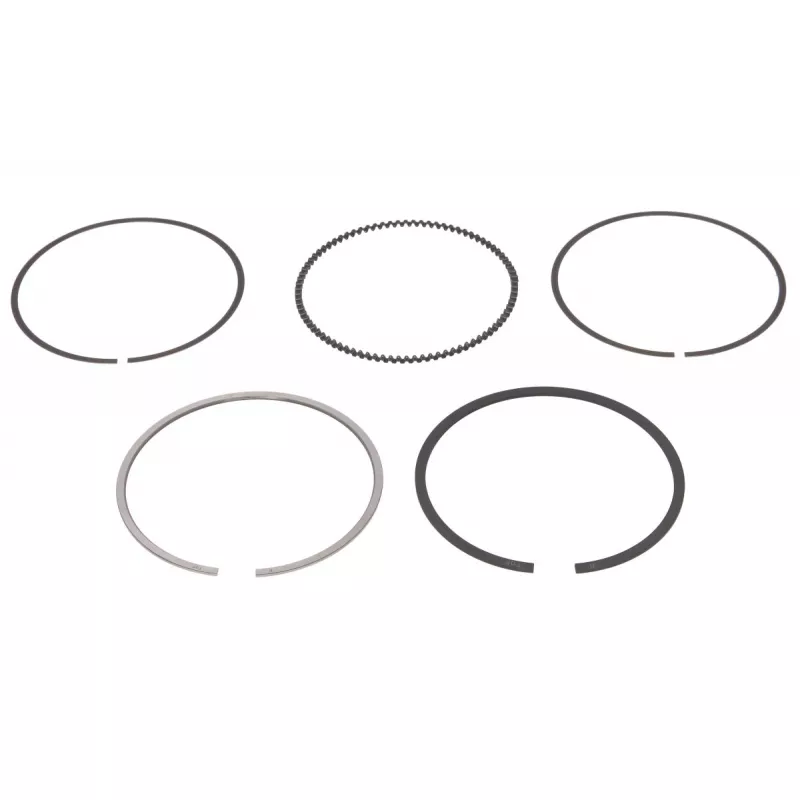Jeu de segments de pistons NE 8935560000