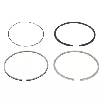 Jeu de segments de pistons NE 8937610000