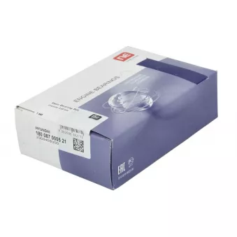 Kit de coussinet de vilebrequin NE 6024055000