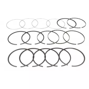Jeu de segments de pistons NE 7924810000