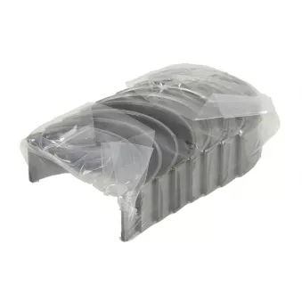 Kit de coussinets de bielle NE 6138672500