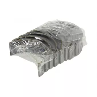 Kit de coussinets de bielle NE 181021001321