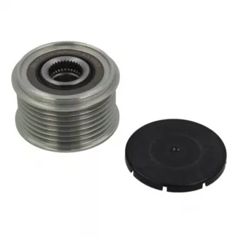 Poulie, alternateur BV PSH