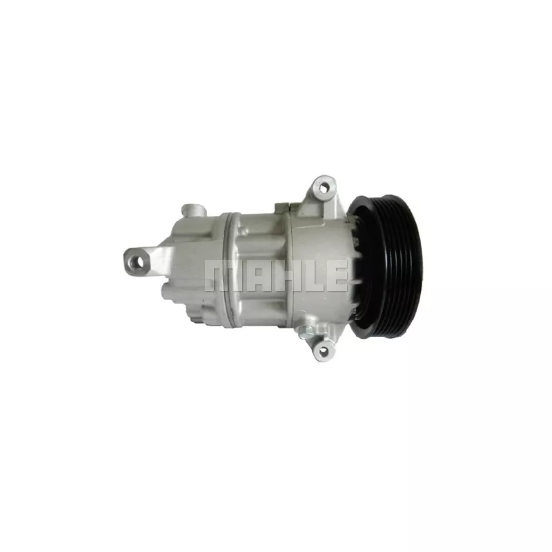 Compresseur, climatisation BV PSH 090.105.007.311