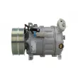 Compresseur, climatisation BV PSH 090.105.012.500 - Visuel 2