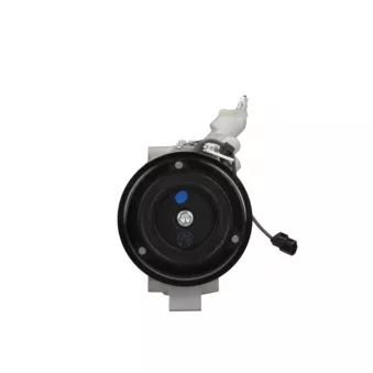 Compresseur, climatisation BV PSH 090.125.001.260