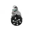 Compresseur, climatisation BV PSH 090.125.020.200 - Visuel 1