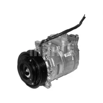 Compresseur, climatisation BV PSH 090.135.008.310