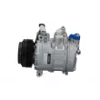 Compresseur, climatisation BV PSH 090.135.009.260 - Visuel 2