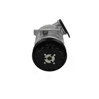Compresseur, climatisation BV PSH 090.135.013.260