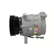 Compresseur, climatisation BV PSH 090.135.014.240 - Visuel 2