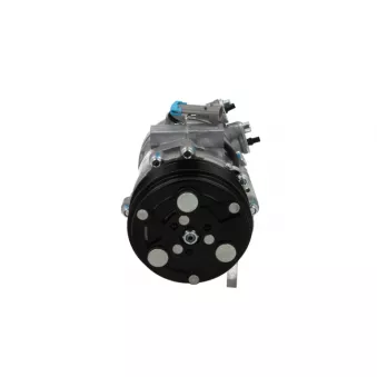 Compresseur, climatisation BV PSH 090.135.040.310