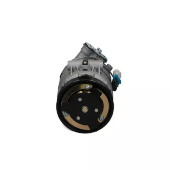 Compresseur, climatisation BV PSH 090.135.060.040