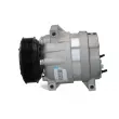 Compresseur, climatisation BV PSH 090.135.070.040 - Visuel 2