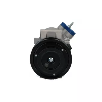 Compresseur, climatisation BV PSH 090.135.071.040
