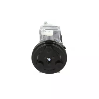 Compresseur, climatisation BV PSH 090.135.079.000