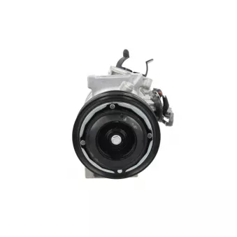 Compresseur, climatisation BV PSH 090.165.001.050